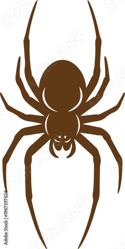 A detailed illustration of a brown spider with outstretched legs Vector, illustration