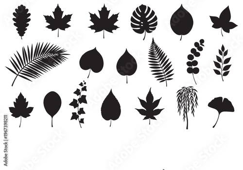 Diverse collection of black leaf silhouettes representing various plant species as a vector illustration graphic design.