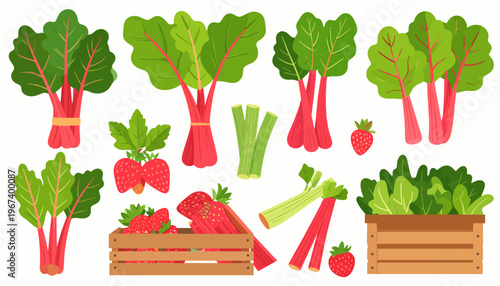 Fresh Vegetables and Fruits Illustration.