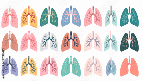 Human Lungs Anatomy in Various Colors.