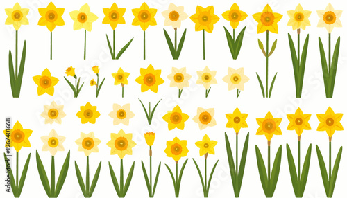 Daffodils Flowers Pattern Yellow Blooming Floral.