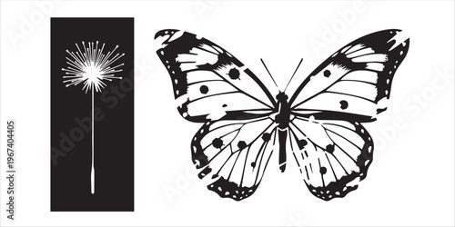 Butterfly and Sparkler Illustration