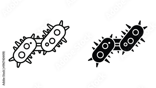 Illustration of bacterial cells undergoing binary fission and clustering together
