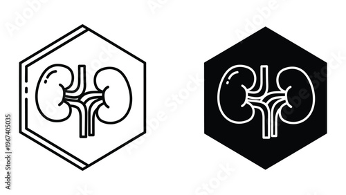 Contrasting kidney icons in hexagonal frames with different background styles