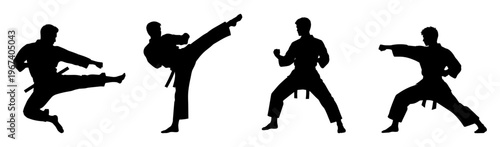Karate fighter ailhouettes set. Man karate poses, kicking and punching actions collection