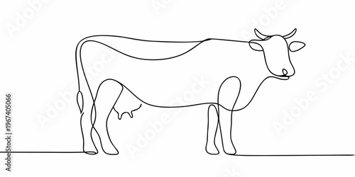Continuous line drawing of a cow in a minimalist style