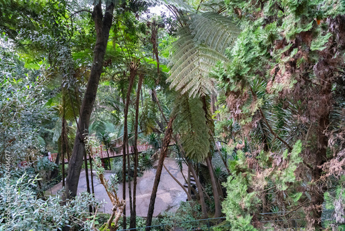Madeira island, botanical garden Monte, Funchal, Portugal