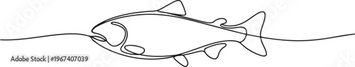 Salmon fish in continuous line art drawing style. Minimalist black linear. one line Icon drawing