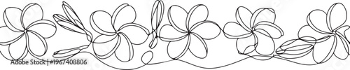 Plumeria flowers in continuous line art drawing style. Border with fragrant tropical plumeria (frangipani, jasmine) flowers. one line Icon drawing