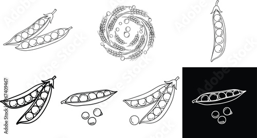 Pea pod line art vector set. Fresh green peas and seeds illustration. Organic vegetable outline collection for food design and agriculture concept.