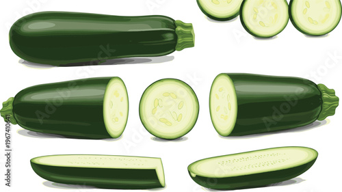 Zucchini vegetable vector set. Whole and sliced courgette illustrations. Fresh organic green squash collection for healthy food and cooking design.