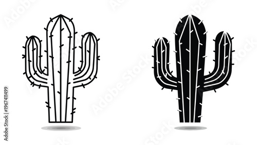 Contrasting black and white illustration of a cactus with different shading techniques