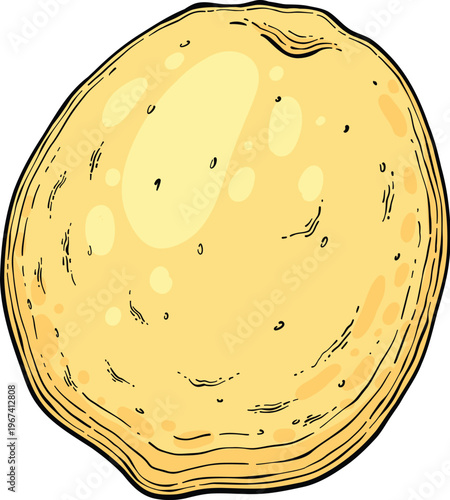 Sketch whole lemonade. Summer cold drinks, hand drawn yellow lemons slices and leaves. Glass of lemonade with ice vector illustration. Drink fruit lemonade graphic, juice and mint leaf