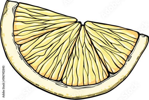 Sketch lemonade. Summer cold drinks, hand drawn yellow lemons slices and leaves. Glass of lemonade with ice vector illustration. Drink fruit lemonade graphic, juice and mint leaf