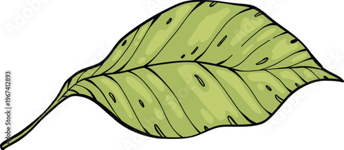 Sketch lemonade green leaf. Summer cold drinks, hand drawn yellow lemons slices and leaves. Glass of lemonade with ice vector illustration. Drink fruit lemonade graphic, juice and mint leaf