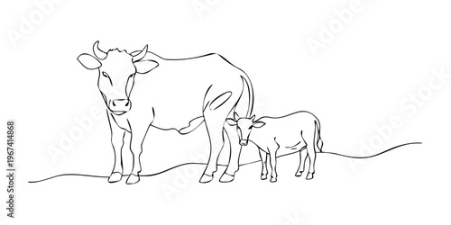 A dimly lit image revealing a cat s face in near darkness