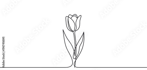 Beautiful single line art drawing of a delicate tulip flower with a stem and leaves, presented vertically