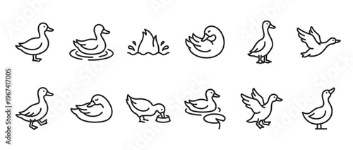 Collection of simple black outline duck icons depicting various poses and activities on a clean white surface
