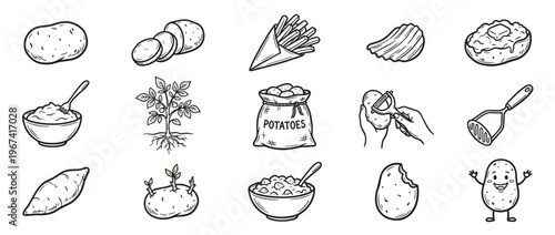 Various hand-drawn potato illustrations depict different forms of the vegetable, from raw to cooked dishes, in a charming doodle style