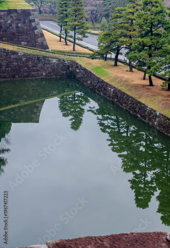Pine trees reflected in the Imperial Palace moat