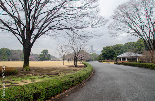 Empty road and lawn in the Imperial Palace East Garden