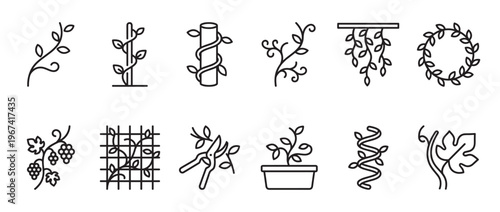 Collection of black outline vine and plant icons, including a wreath, grapes, and gardening tools, on a clean white surface