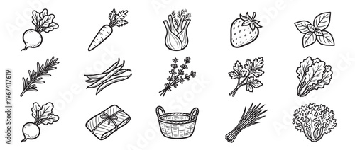 Collection of hand-drawn black and white illustrations depicting various fresh vegetables, fruits, and herbs in a clean, graphic style