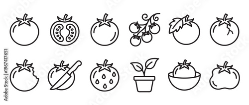 Collection of black outline tomato icons showing various forms like whole, sliced, bitten, and on the vine