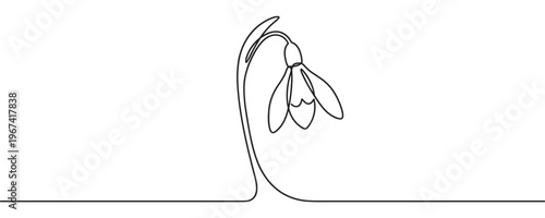 Delicate single line art snowdrop flower with a graceful stem and petals, rendered in a minimalist style