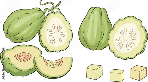 Chayote vegetable collection with whole sliced and diced pieces fresh green squash vector illustration set isolated on white background