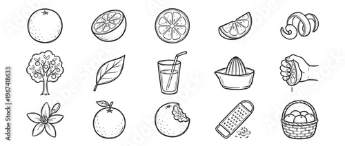 Collection of hand-drawn orange fruit and related items, including whole, sliced, juicer, tree, and basket, in a clean line art style