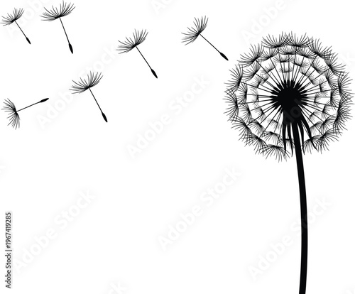 Dandelion seed head silhouette with blowing seeds in wind, minimalist floral nature vector illustration for spring and summer designs