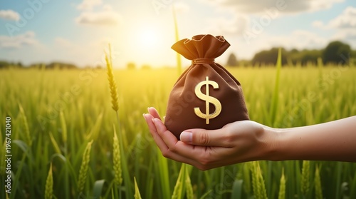Hand Holding Money Bag with Dollar Symbol in Green Field Under Beautiful Sunset Sky