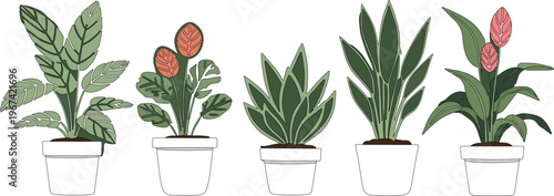 Hand drawn potted plant collection with indoor houseplants foliage and decorative greenery vector illustration set isolated on white background