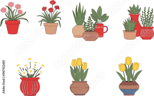 Potted flower and houseplant collection with tulips daisies and decorative indoor plants vector illustration set isolated on white background