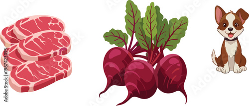 Raw meat steak beetroot vegetable and cute dog character collection vector illustration set isolated on white background