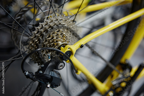 Tableau sur toile Detailed view of bicycle transmission system