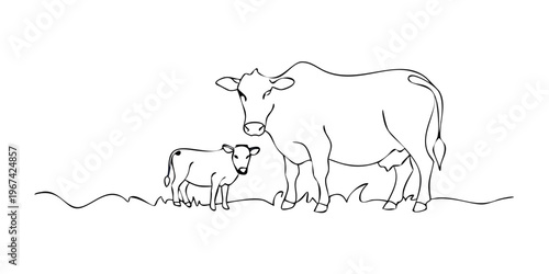 A dark silhouette of a cat sitting on a window ledge