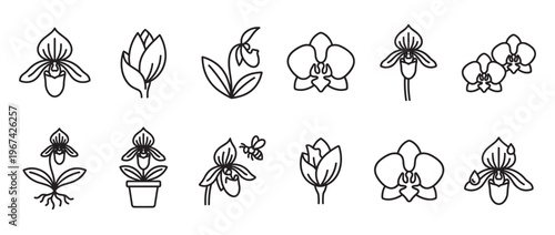 Various black outline orchid flower icons are arranged neatly in rows, showcasing different stages and types
