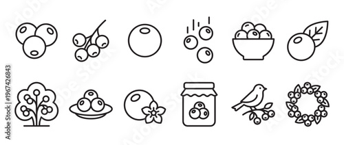 Collection of simple black outline blueberry icons, depicting various forms of the fruit and related items, presented with clean lines