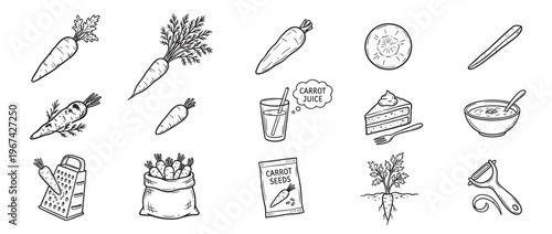 Collection of hand-drawn carrot illustrations depicts various forms, from whole vegetables to juice, cake, and seeds, in a charming doodle style
