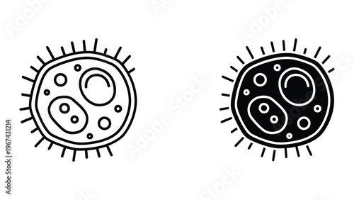 Contrasting depictions of a virus with yin-yang internal structure and spiky exterior