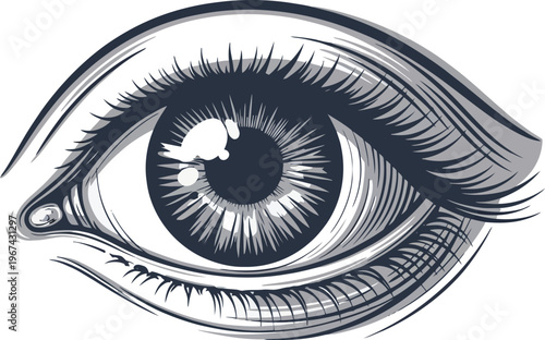 Vintage engraved human eye vector illustration, detailed anatomical eyeball with long eyelashes, retro woodcut style vision and sight icon