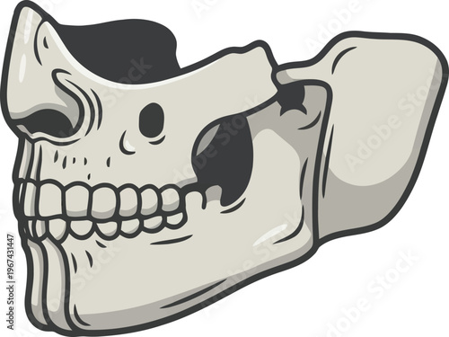 Anatomical human skull jaw bone vector, broken skeletal face mask illustration, gothic cranium fragment with teeth, macabre medical art