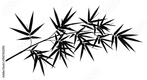 Black silhouette of bamboo leaves