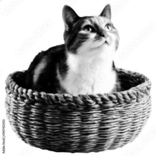 Cat in Basket Halftone Illustration, Black and White Dotted Animal Portrait, Vintage Retro Print Style