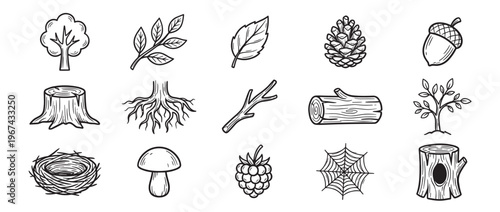 Collection of hand-drawn black and white forest elements, including trees, leaves, roots, pine cones, and a bird's nest