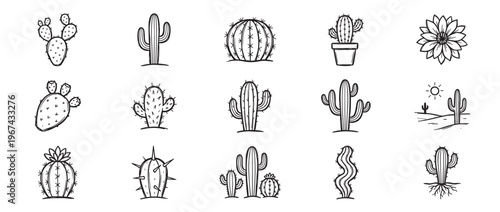 Collection of hand-drawn black and white cactus illustrations with various shapes and styles, including a desert scene and a flower