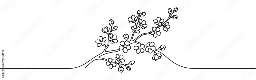 Fototapeta premium Continuous line drawing of a delicate cherry blossom branch with multiple flowers and buds, minimalist black and white vector illustration