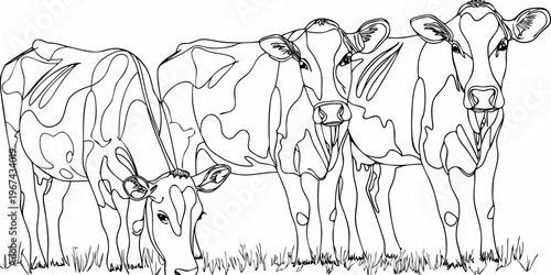 Line art depiction of a small herd of grazing cows in a field